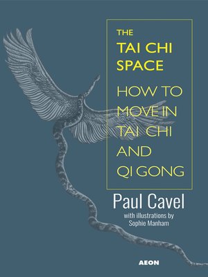 cover image of The Tai Chi Space
